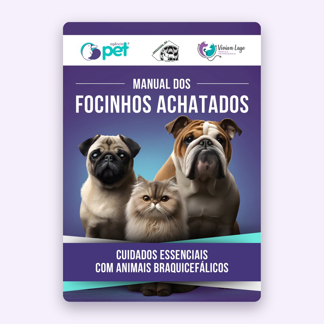 Manual dos focinhos achatados — cuidados essenciais com animais braquicefálicos